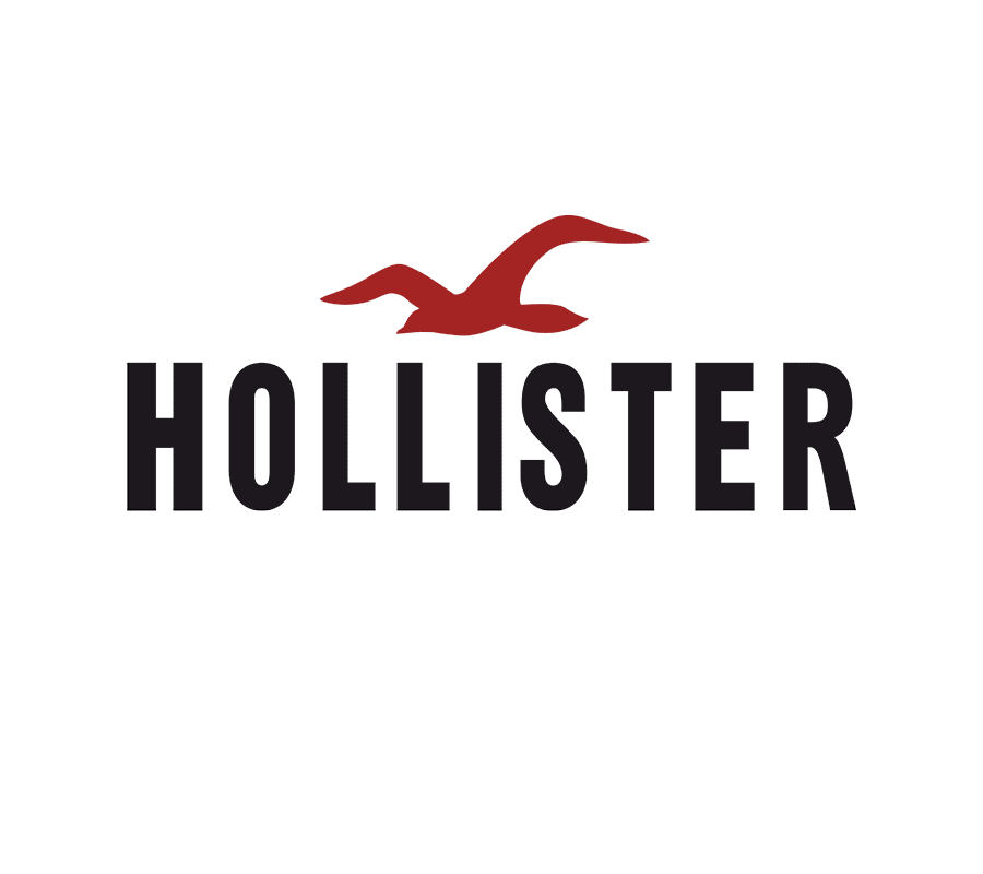 Logotyp för HOLLISTER